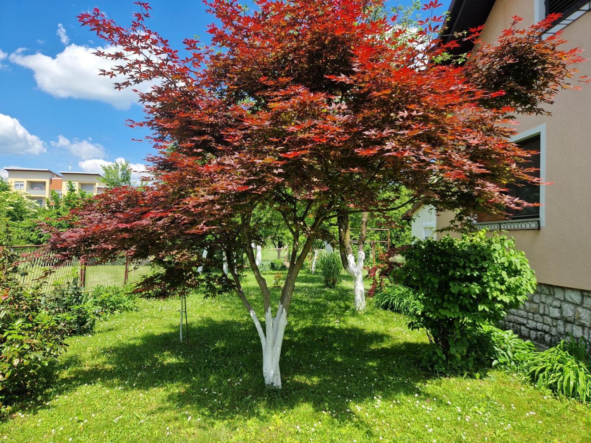 Apartment Marica - Ogulin, Hrvatska *